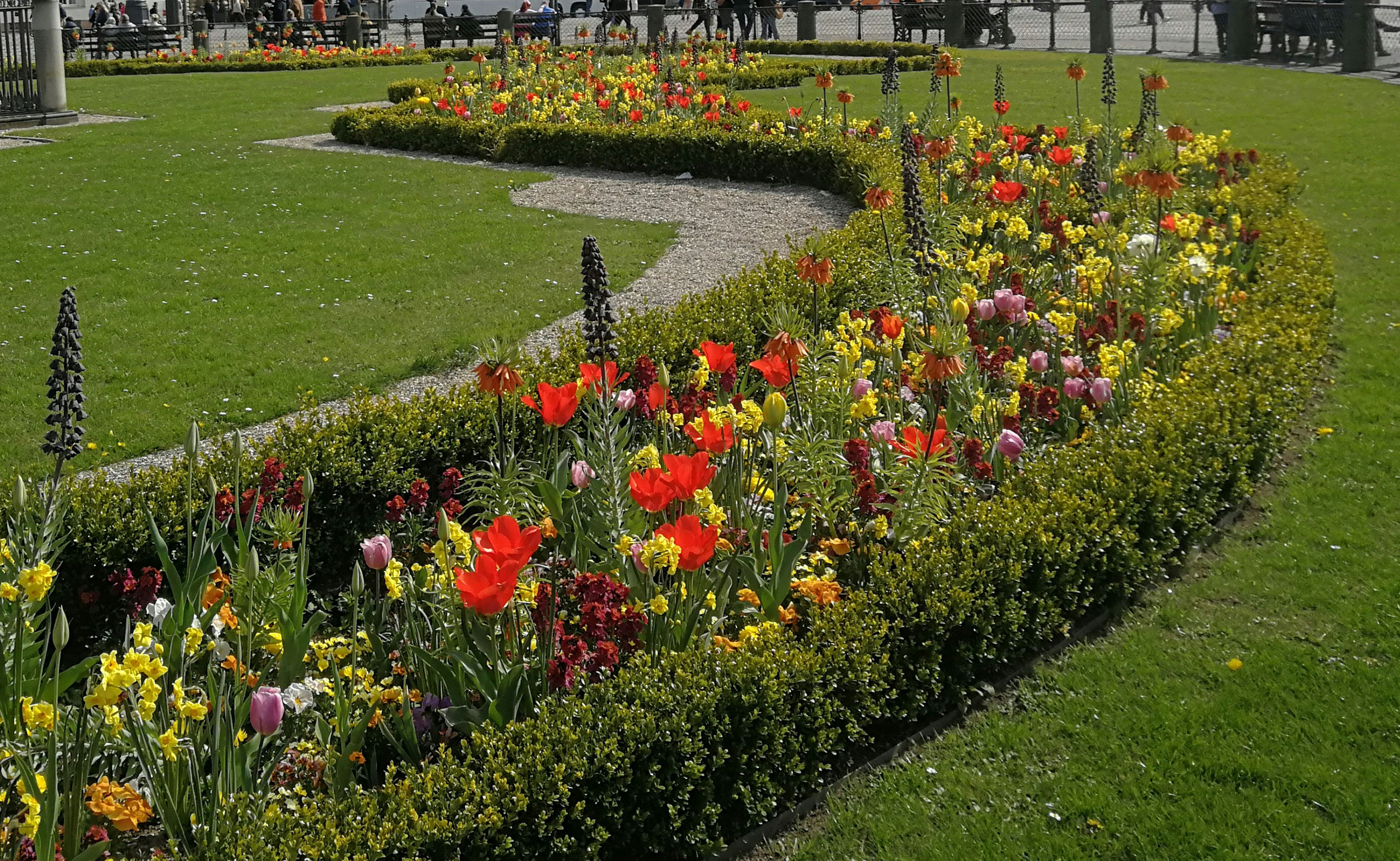 flower-bed-design-services