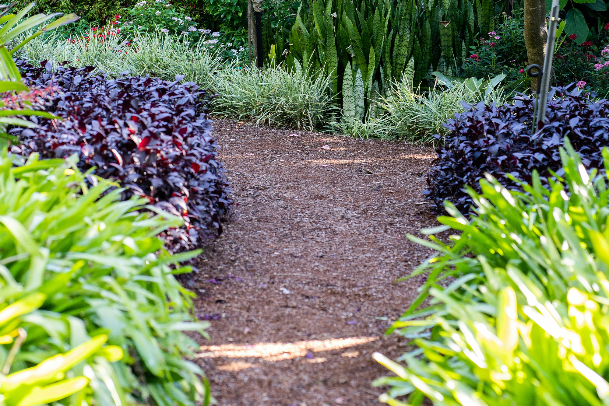 shrub-planting-services-west-midlands