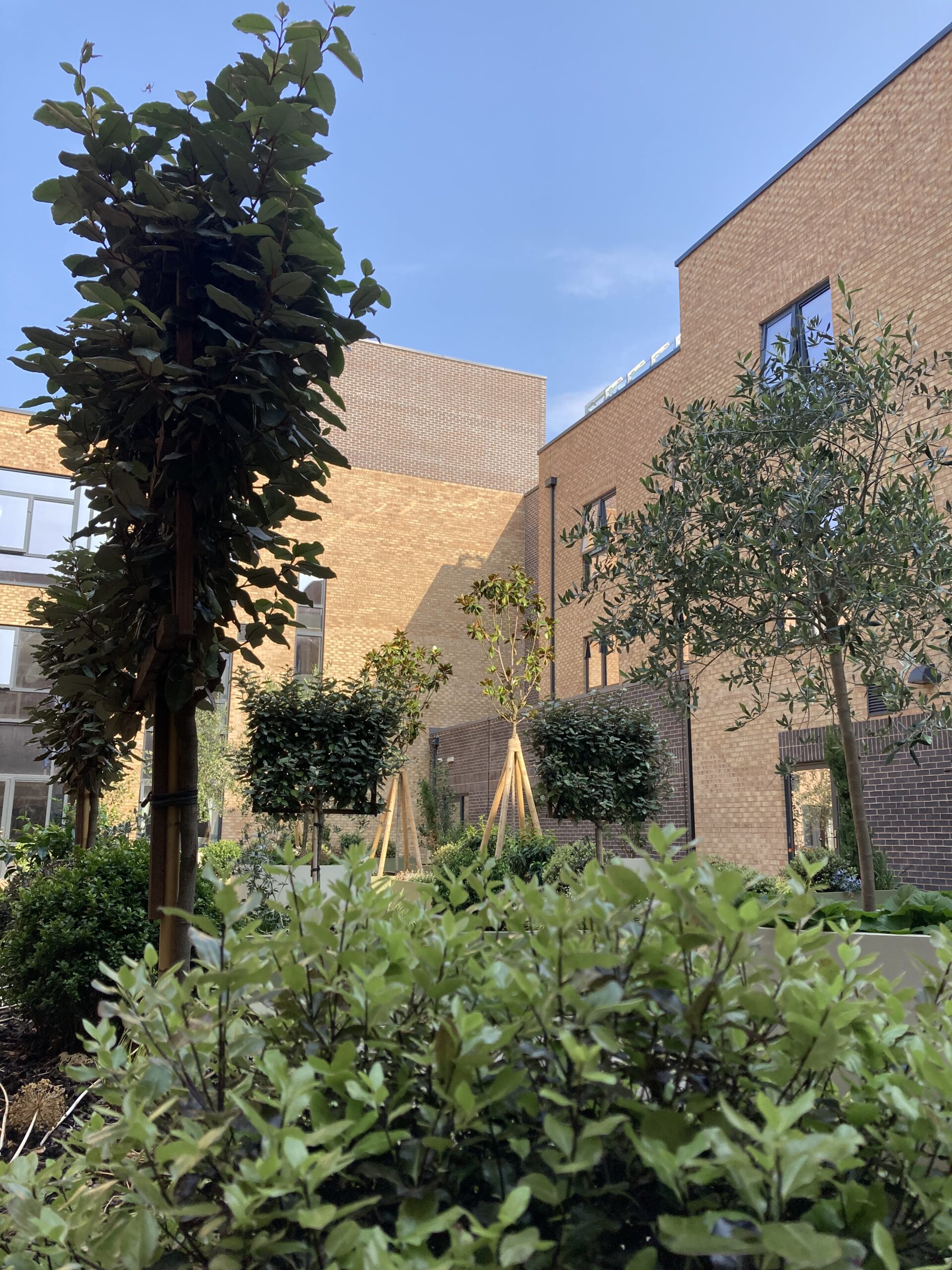 20250806_083900772_iOS