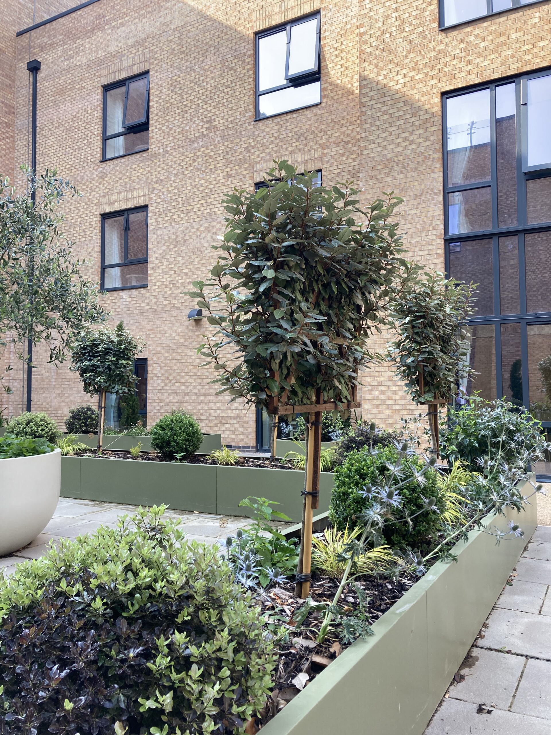 20250806_084525194_iOS