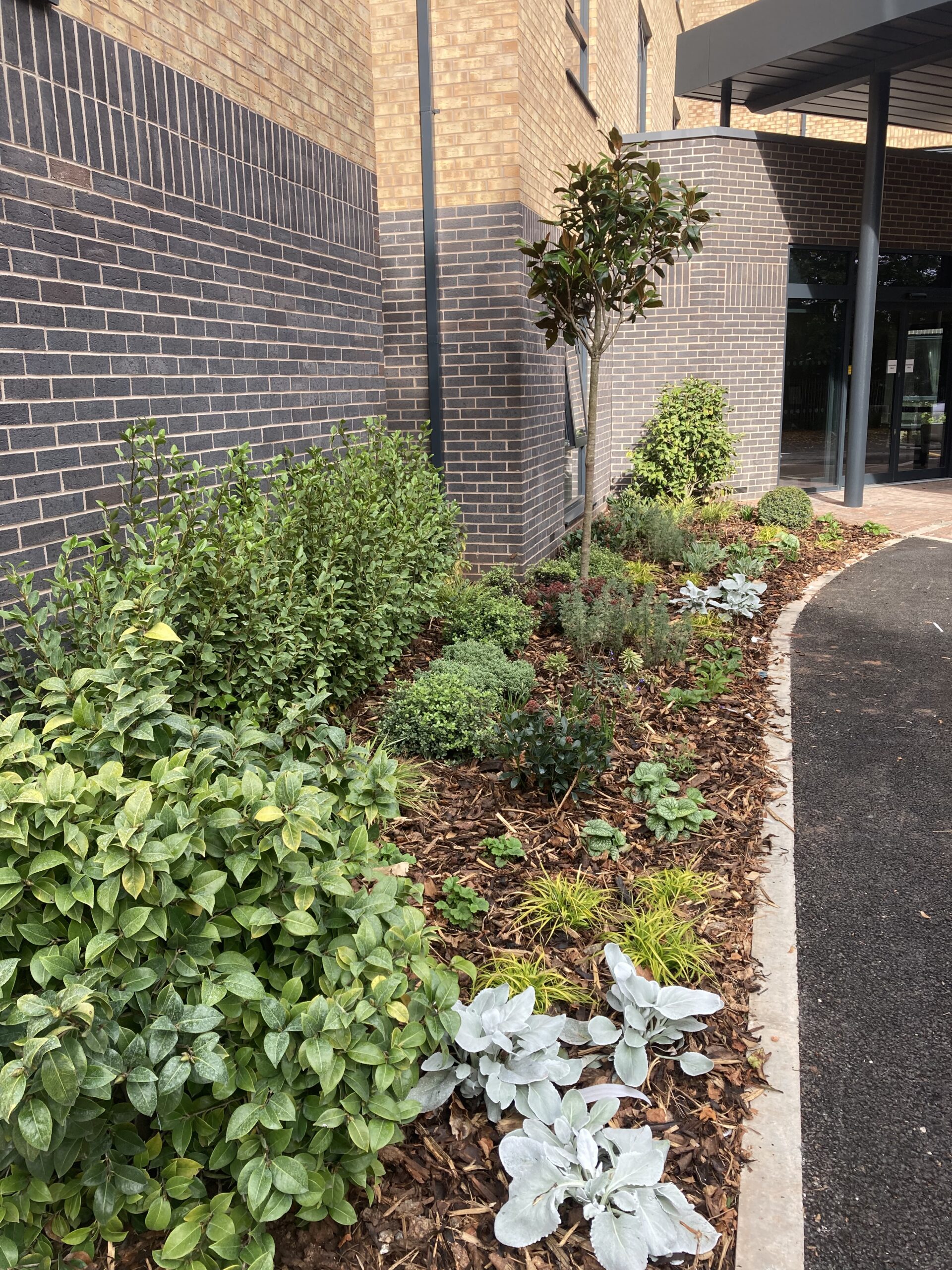 20251002_130552645_iOS