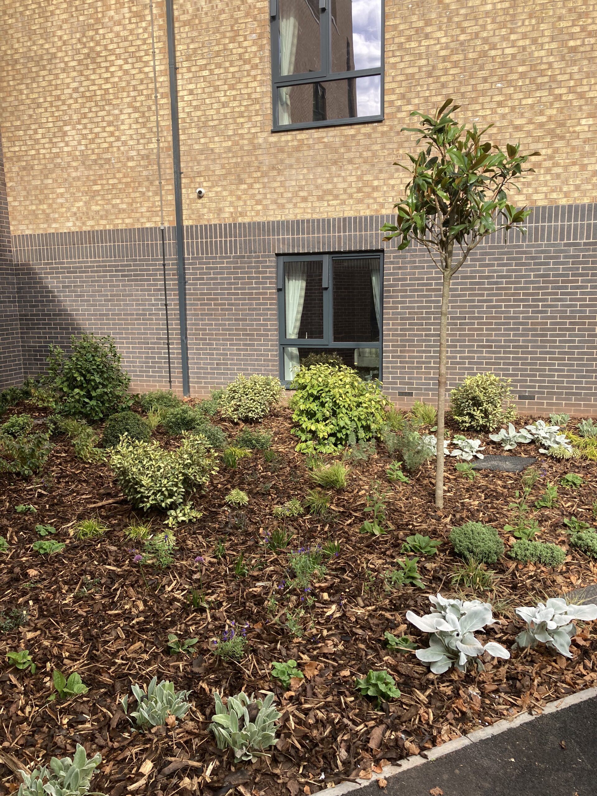 20251002_130617875_iOS