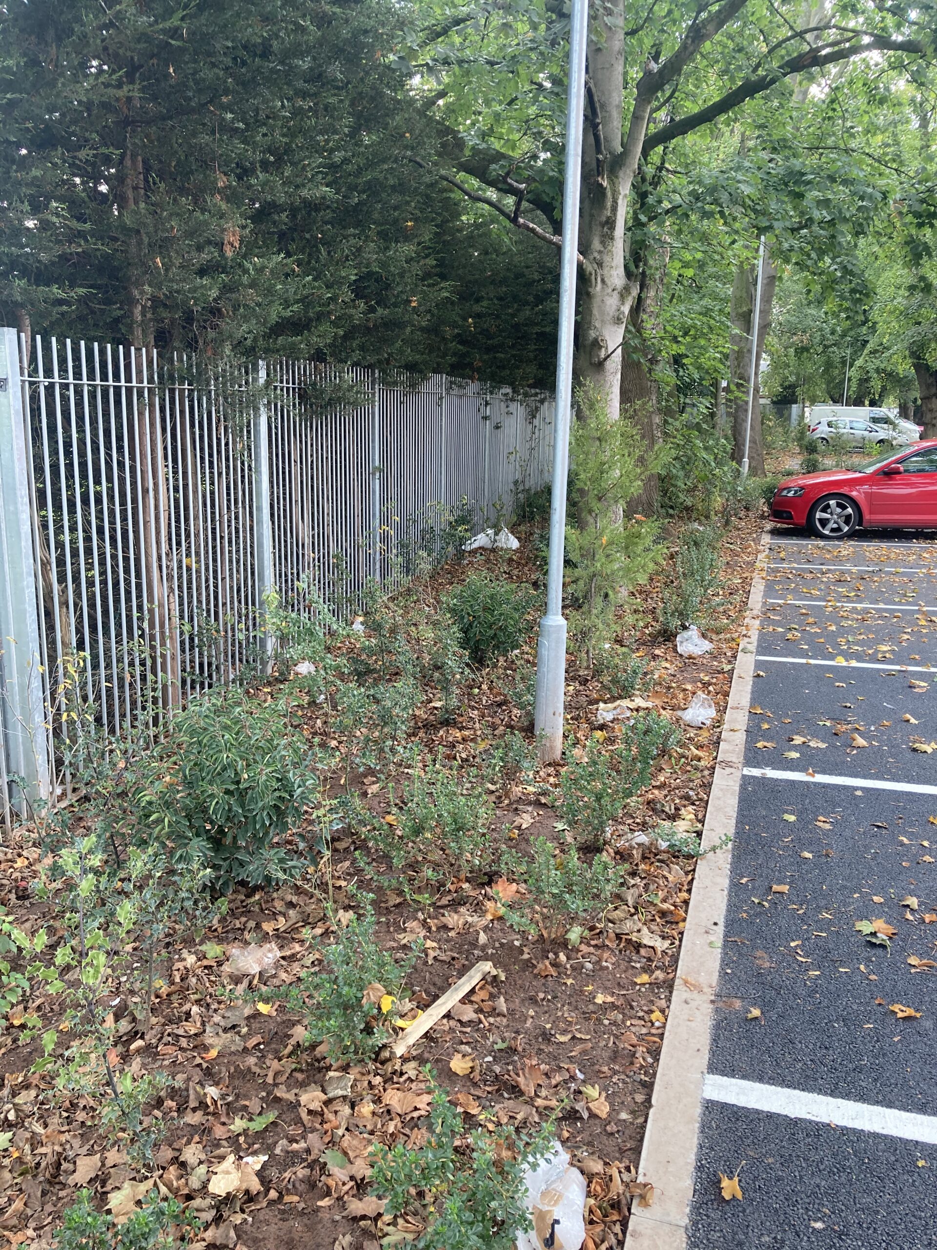 20251002_130721531_iOS