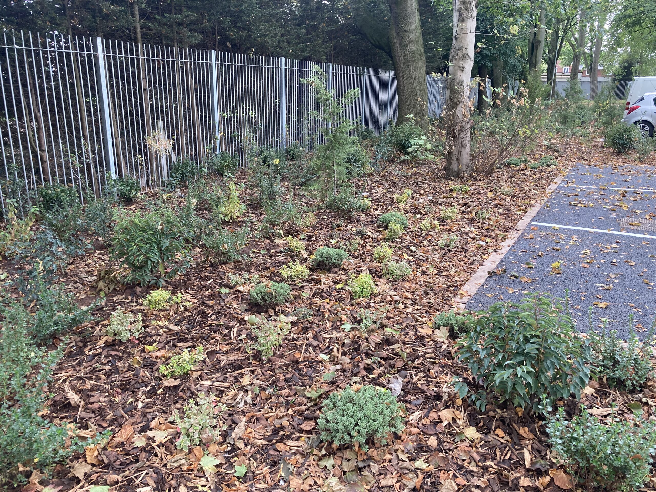 20251002_130808464_iOS