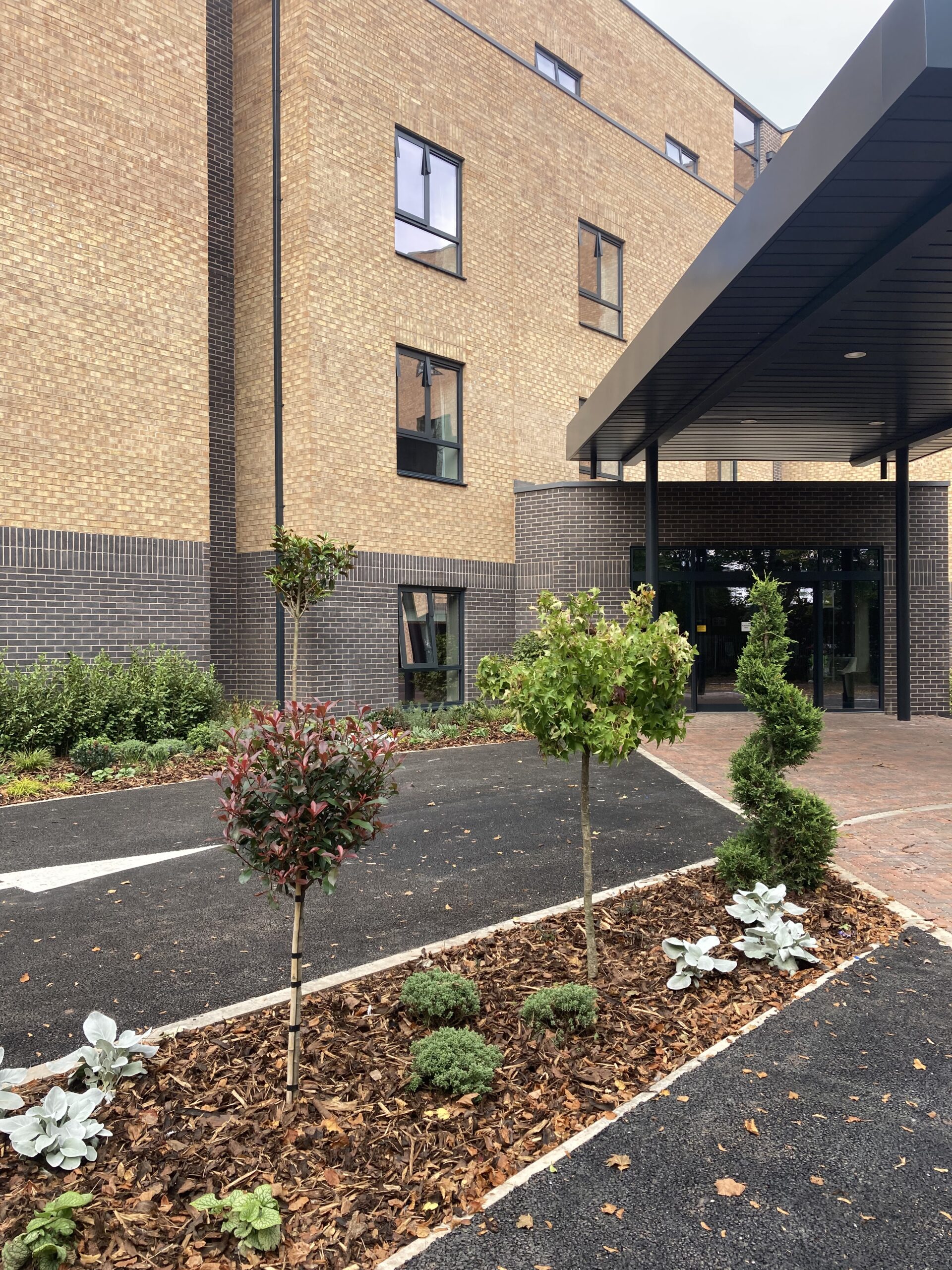 20251002_131047500_iOS