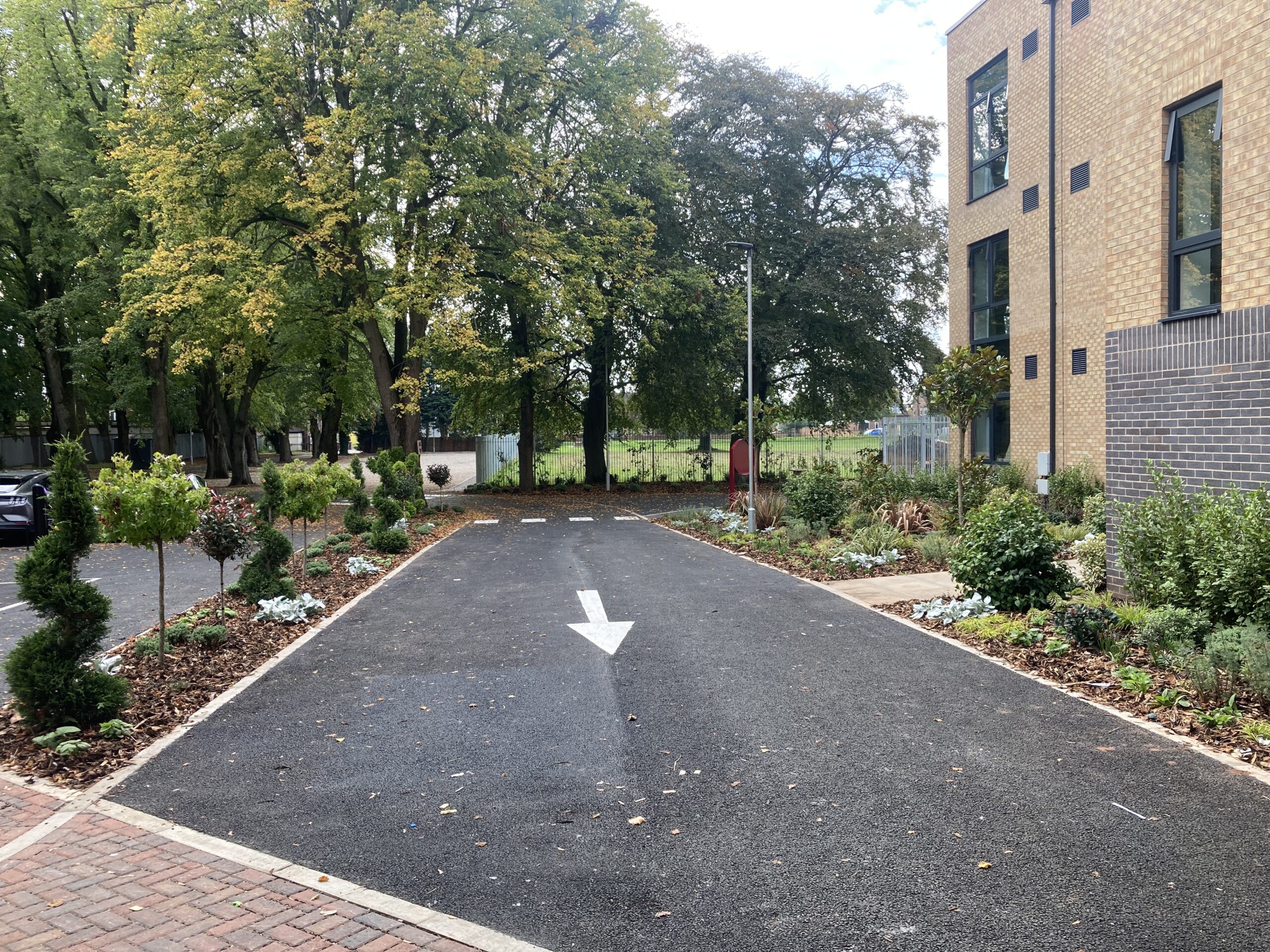 20251002_131141404_iOS