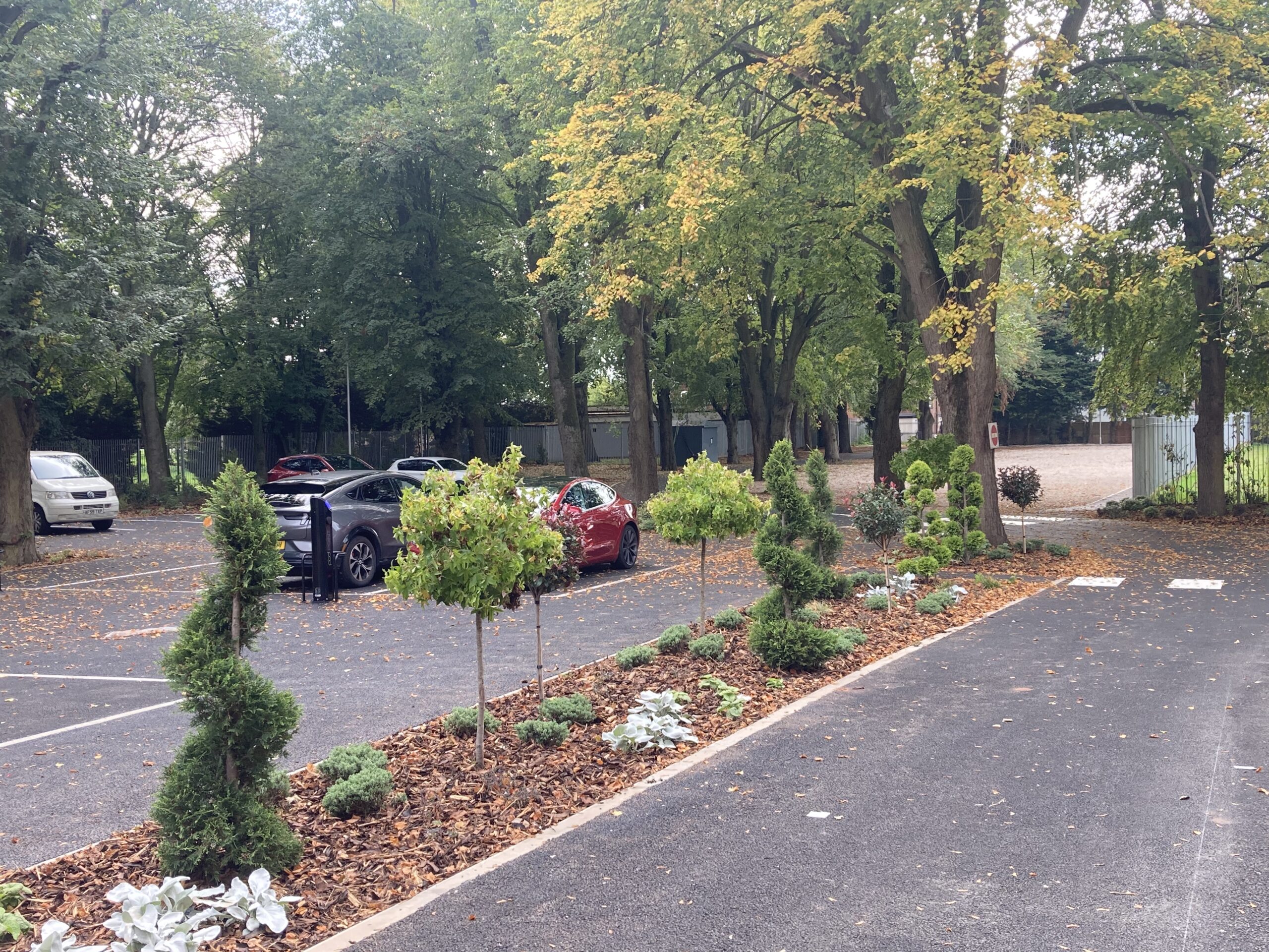 20251002_131157640_iOS