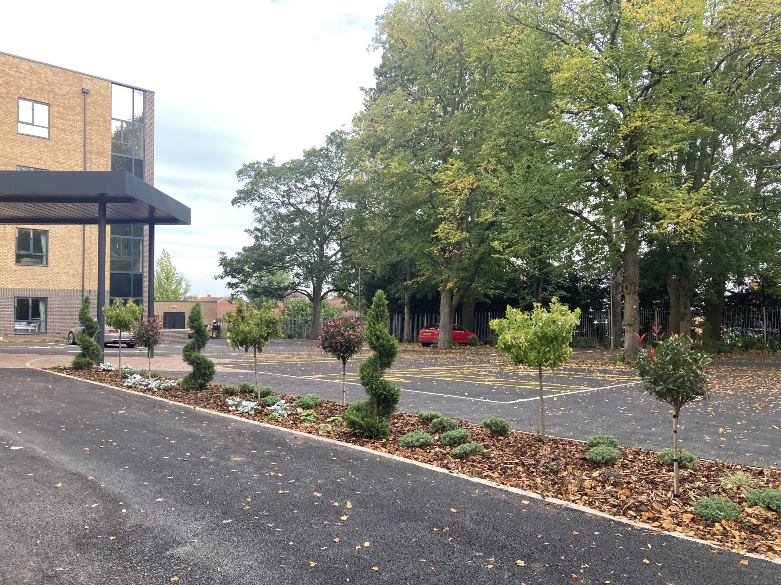 20251002_131227098_iOS