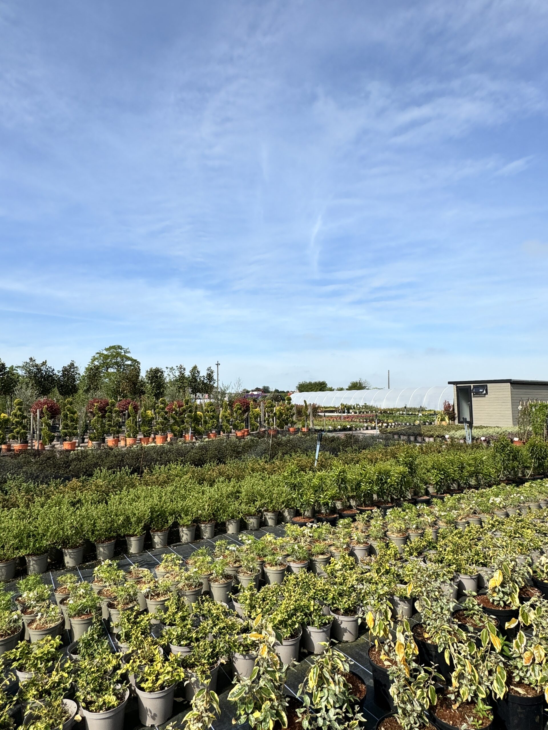 20240509_084719333_iOS